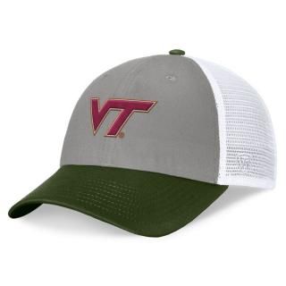 Virginia ƥå Ho ͥ