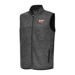 Virginia ƥå Ho ͥ