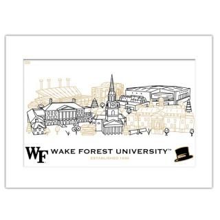 Wake Forest Dem Deacs 11