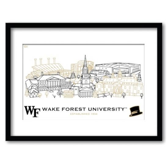 Wake Forest Dem Deacs 11