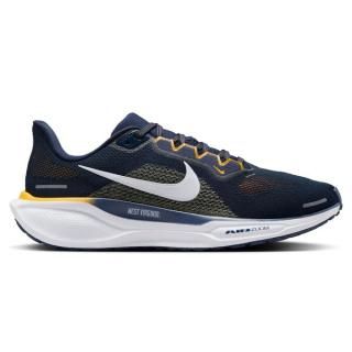 ȥС˥ޥƥ˥ Nike ˥å Zoom Pegasus 41  ͥ