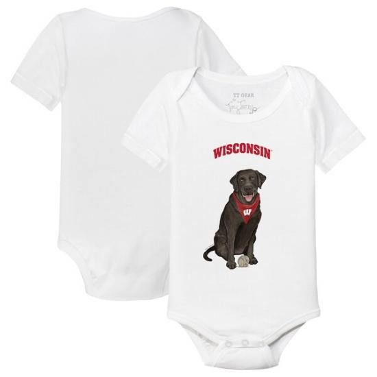 󥷥󡦥Х㡼 ˡ Turnip å ֥å Labrador Retrie ᡼