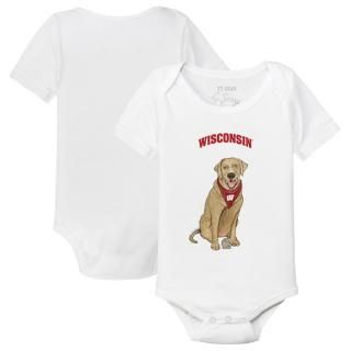 󥷥󡦥Х㡼 ˡ Turnip å  Labrador Retrie ͥ