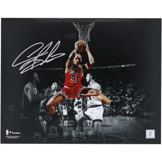 デニス・ロッドマン シカゴブルズ 直筆サイン入り ファナティクス オーセンティック 11" x 14