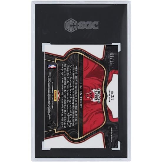 Dalen Terry ֥륺 2022-23 ѥˡ 쥯  Pulsar # ᡼2