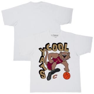 ꡼֥ɥХꥢ  å󥷥s NBA x Staycool ޥå ͥ