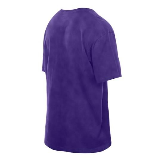 ロサンゼルス・レイカーズ ニューエラ(New Era) Old School スポーツ ヴィンテージ イメージ3