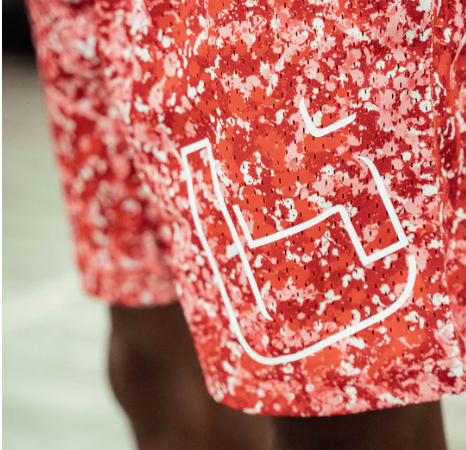 ballislife M1 Mesh Shorts   åɡץå ᡼5