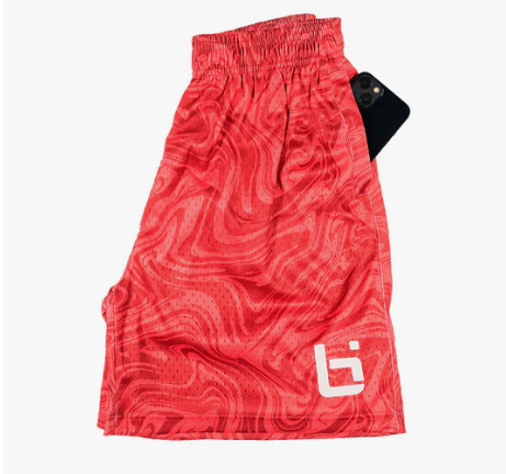 ballislife M2 Mesh Shorts  åɥ ᡼2