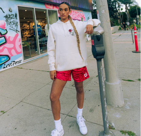 ballislife M2 Mesh Shorts  åɥ ᡼4