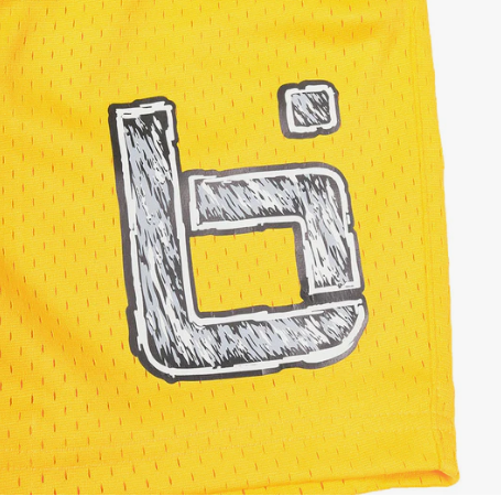 ballislife Lemon Mesh Shorts  󥤥 ᡼3