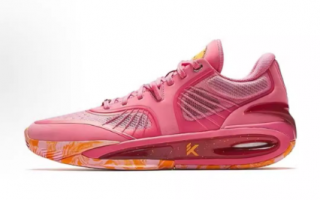 Anta Klay Thompson KT10 Pink  ԥ/ ͥ