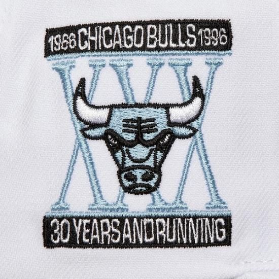 シカゴブルズ ミッチェル&ネス コア XI スナップバック ハット - ホワイト イメージ3