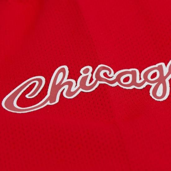 デニス・ロッドマン シカゴブルズ ミッチェル&ネス ユニセックス Maxxed アウト ファッション イメージ8