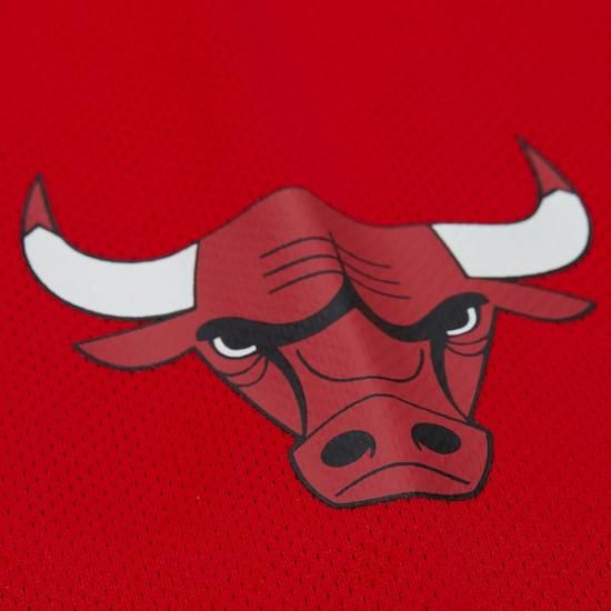 デニス・ロッドマン シカゴブルズ ミッチェル&ネス ユニセックス Maxxed アウト ファッション イメージ9