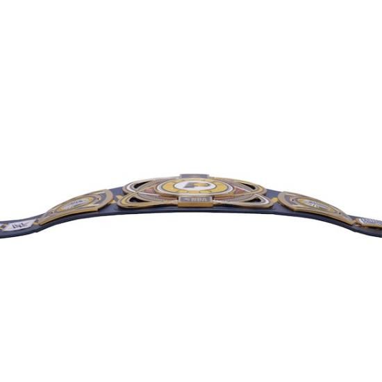 ǥʥڥ WWE 쥬 Title Belt ᡼6