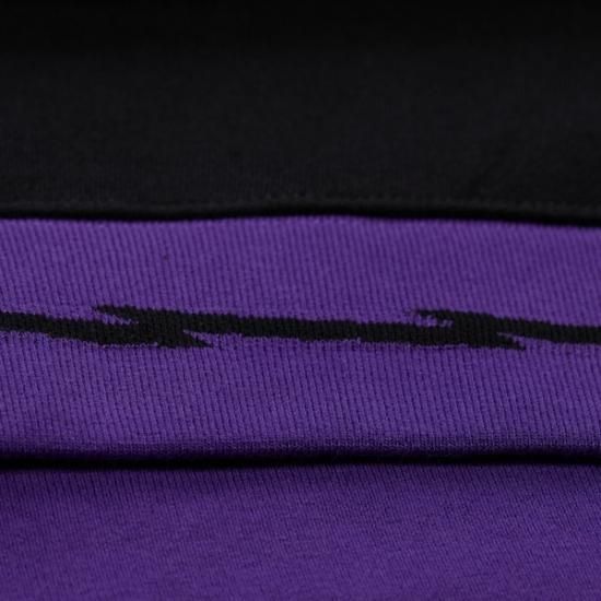 トロントラプターズ ミッチェル&ネス ユニセックス ヴィンテージ Heavyweight パーカー  イメージ4