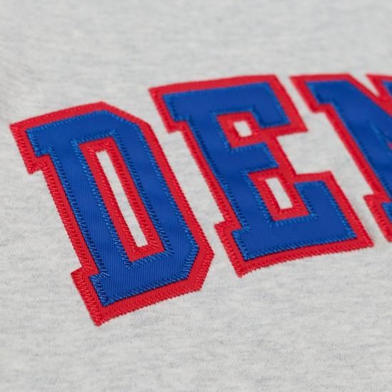 デンバーナゲッツ ミッチェル&