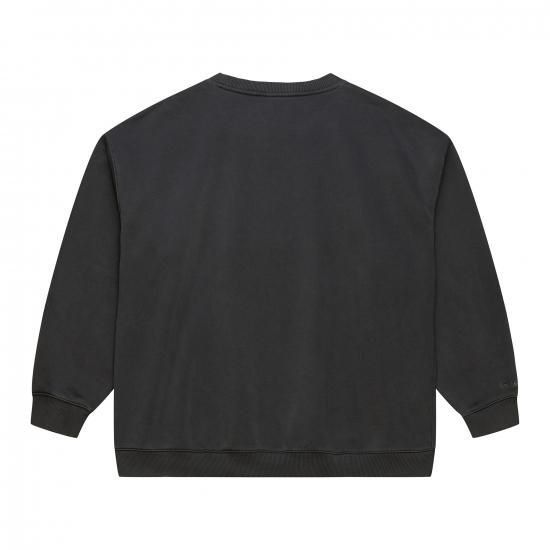 シャーロットホーネッツ ミッチ