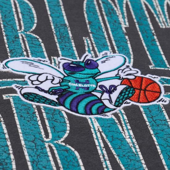 シャーロットホーネッツ ミッチ