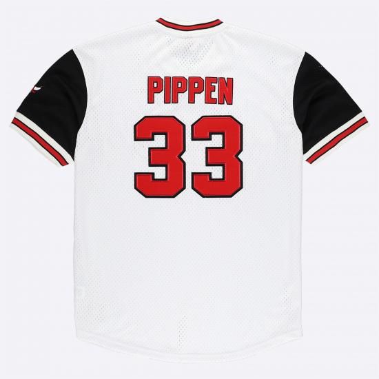 スコッティ・ピッペン シカゴブ