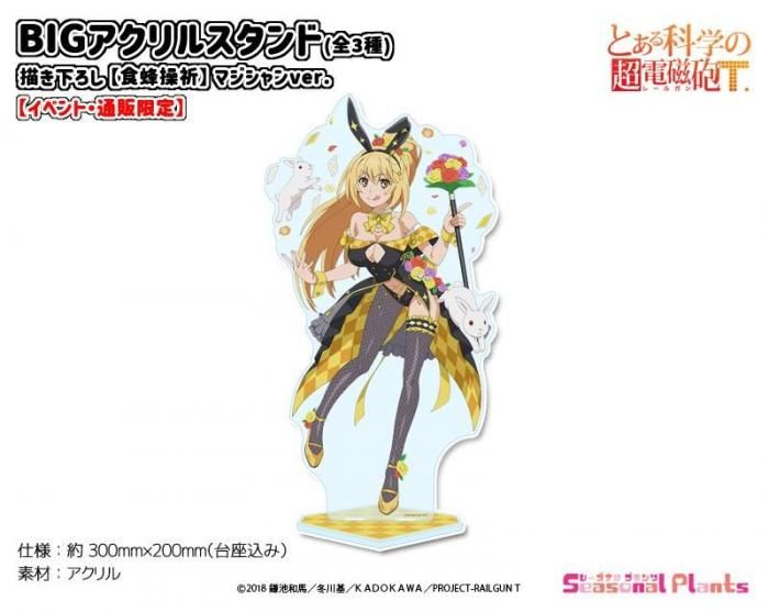 説明必読】美琴生誕祭2025 御坂美琴 食蜂操祈 等身大パネルアクリル 【