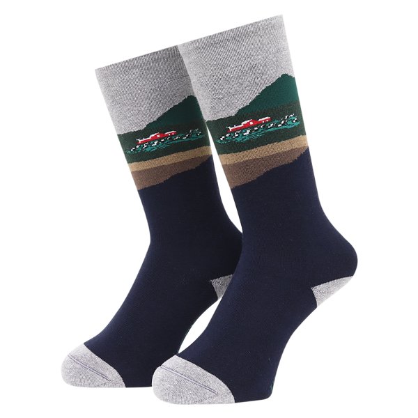 Whimsy / Socks Farm Socks - Day -