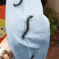 <img class='new_mark_img1' src='https://img.shop-pro.jp/img/new/icons1.gif' style='border:none;display:inline;margin:0px;padding:0px;width:auto;' />MURAKADOۿɴ­ʿ忧˥ԡLonT-mukadeBLˡڥåݥȲġ