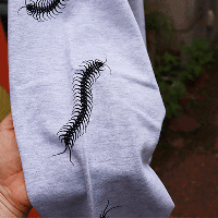 <img class='new_mark_img1' src='https://img.shop-pro.jp/img/new/icons1.gif' style='border:none;display:inline;margin:0px;padding:0px;width:auto;' />MURAKADOۿɴ­ʳ˥ԡLonT-mukadehaiˡڥåݥȲġ