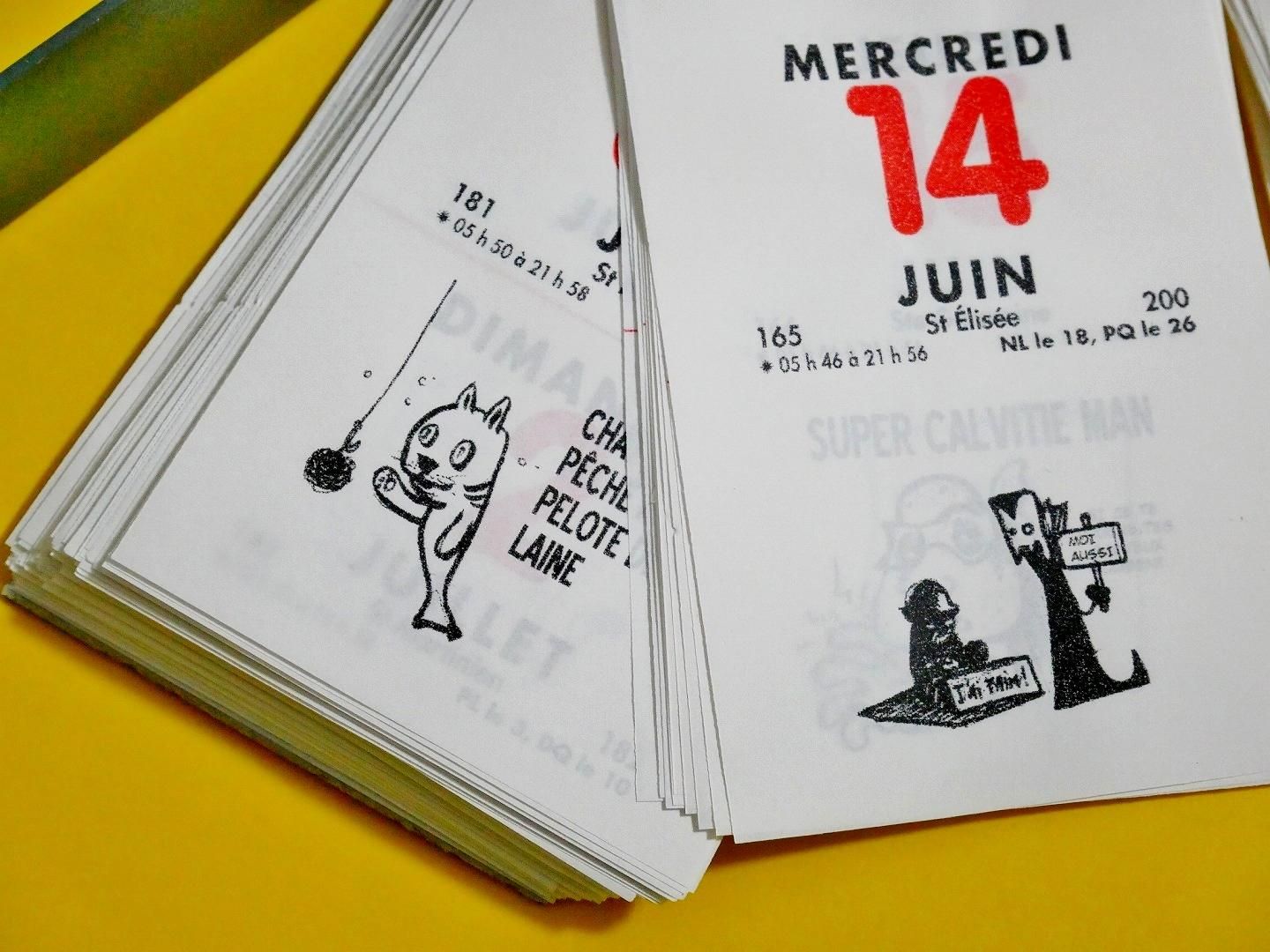 専用 フランス日めくりカレンダー 海外チケット 📆 Bonjour！ パリのエスプリがぎゅっと詰まった フランスの
