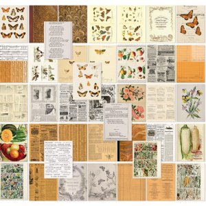 ڥӥʡ49 And Market 6x8Collage Sheets -Color Swatch: Peach
