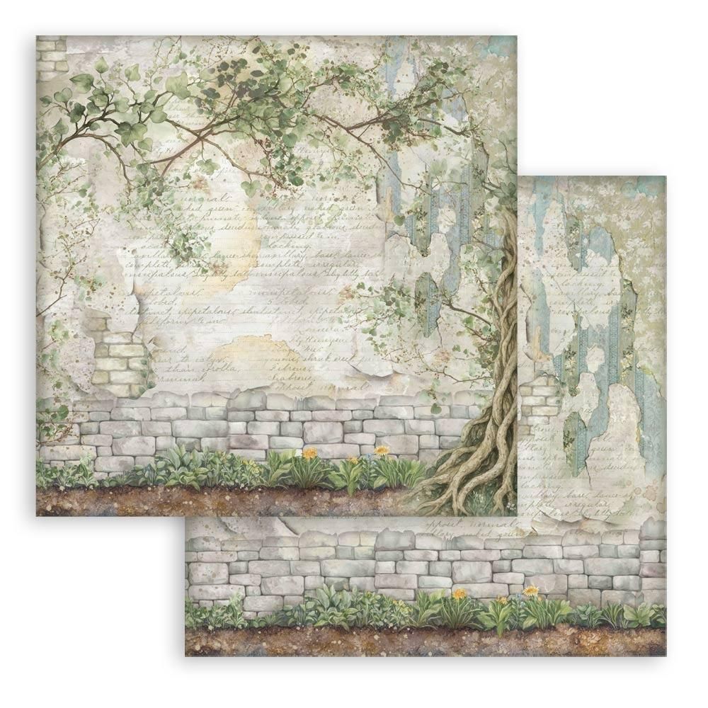 ���ʲ���5