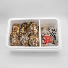 広島牡蠣殻つき(10個)・むきみ（500g）セット