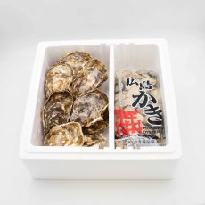 広島牡蠣殻つき(10個)・むきみ（1kg）セット
