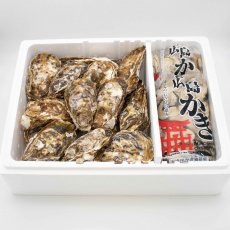 広島牡蠣殻つき(20個)・むきみ（1.5kg）セット