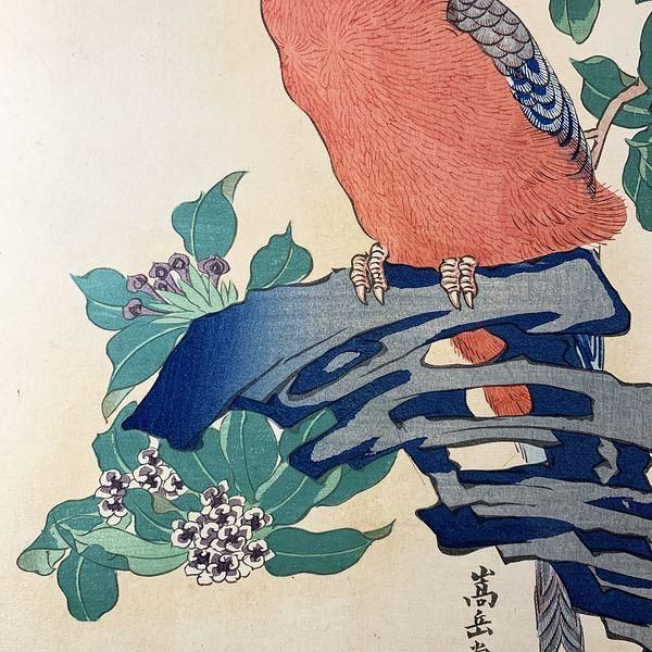 生写四十八鷹 いんこ 瑞香 | 山星書店 浮世絵 Yamaboshi-Shoten