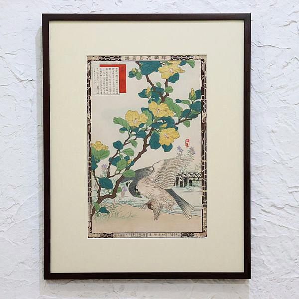 古版画 幸野楳嶺「楳嶺花鳥画譜 黄槿と隼」 - ブルーパロット
