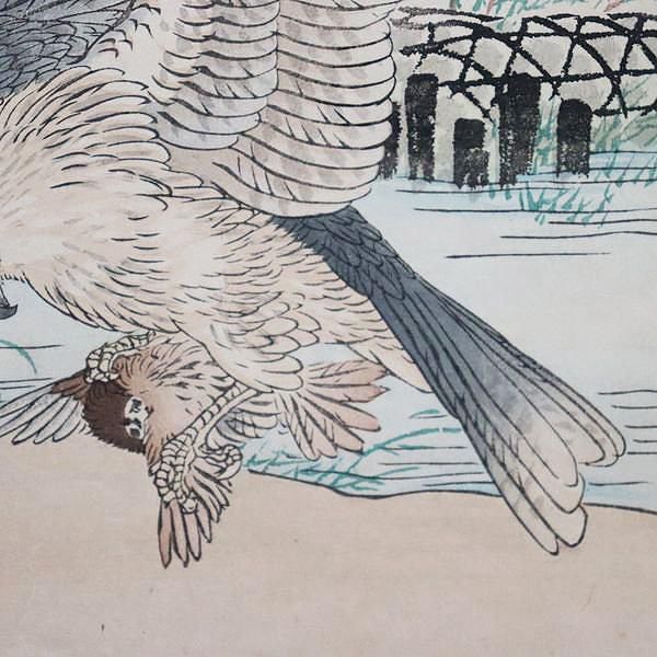 古版画 幸野楳嶺「楳嶺花鳥画譜 黄槿と隼」 - ブルーパロット京都