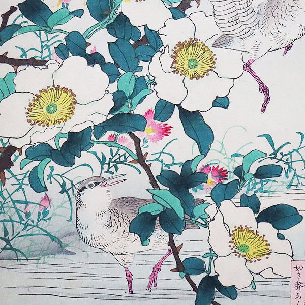 古版画 幸野楳嶺「楳嶺花鳥画譜 金桜子・水鶏」季節 四季 しつらえ - 京都の骨董・アンティーク・ヴィンテージの家具・食器・雑貨｜antique  blue Parrot KYOTO