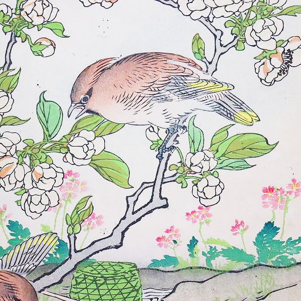 古版画 幸野楳嶺「楳嶺花鳥画譜 梨花・連雀」季節 四季 しつらえ 