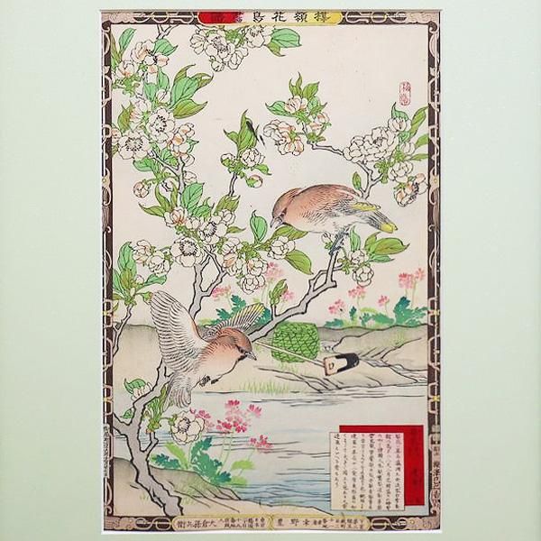 9366幸野楳嶺! 花鳥画 絵入絵本 2□楳嶺百鳥画譜/続編□ 彩色木版画 