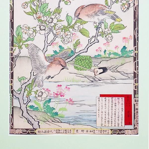 幸野楳嶺『楳嶺百鳥画譜続編 人』明治17年 大倉孫兵衛刊 彩色木版画譜 