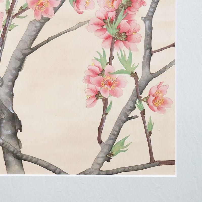 古版画 池田瑞月 瑞月草花画譜 桃 昭和53年