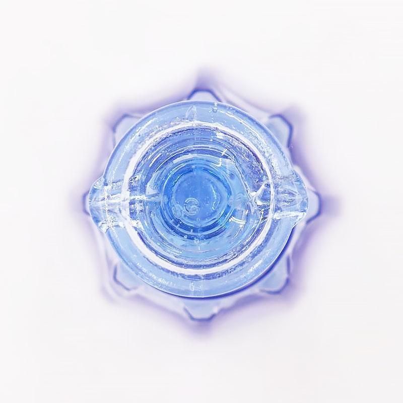 饹  ¥ȥ  ơ ƥ å ֥롼  Ȭ ܤܤ