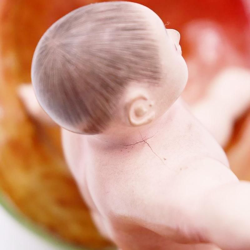  Ϻ ͷ ʪ ֥  襤 ﵯʪ ΩȽ  ͦ  ʴݲ ʿ ʿͷ
