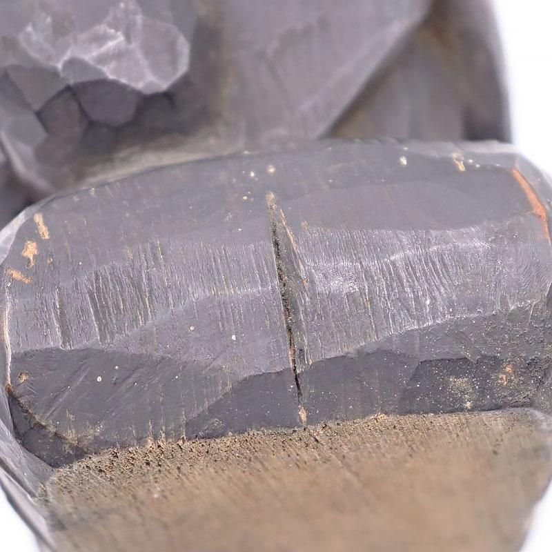 Ħ ŷ  ʡ ﵯʪ 襤 䤵 ơ ƥ ̱ ʪ ֥ ƥꥢ