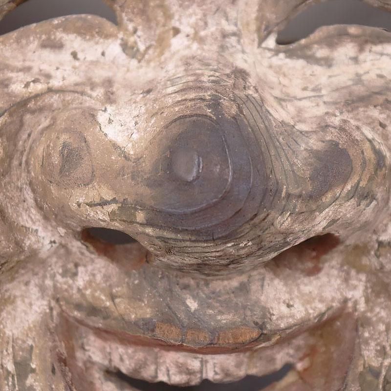    Ħ ܤ ʡο ﵯʪ ơ ƥ ̱ ƥꥢ ֥