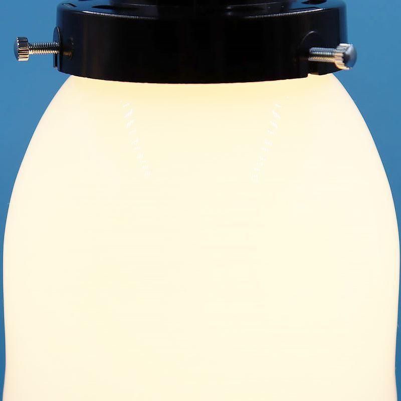 昭和初期 電笠 蕾形 小ぶり 乳白ガラス レトロ照明