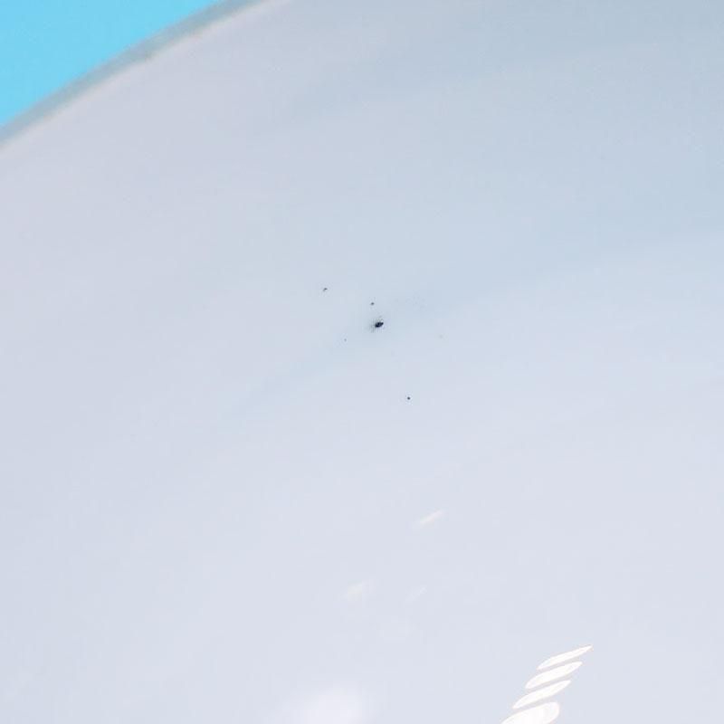 ¥ȥ ų Ż ץ Ⱦ  򥬥饹 ۥ磻  ų ½