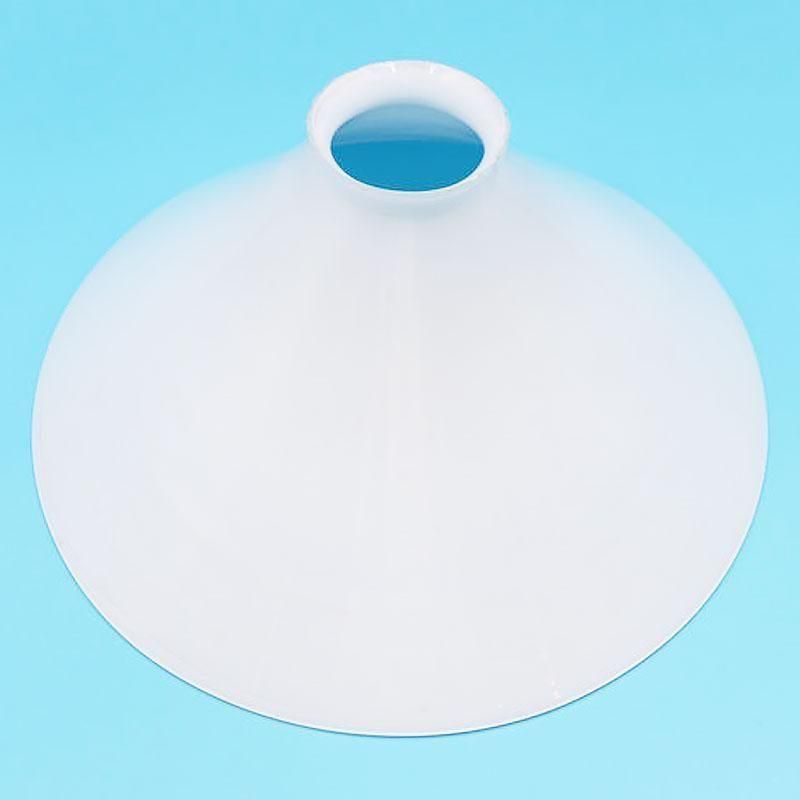 ¥ȥ ų Ż ץ  ȥ饤󥰥 ե쥢 򥬥饹 ۥ磻  ų ½